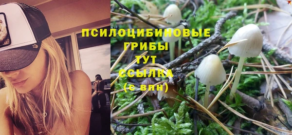 a pvp Арсеньев
