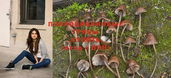 PSILOCYBIN Аркадак