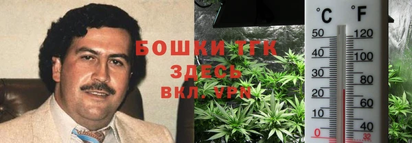 PSILOCYBIN Аркадак